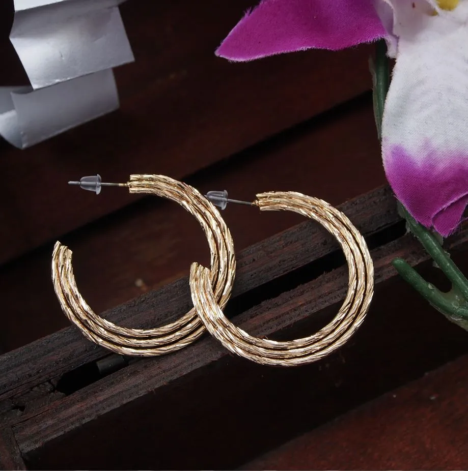 Gold Plated Stylish Hoops Earring