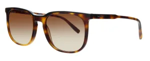 Lacoste L925S 43117 Light Havana/Black Rounded Square Sunglasses